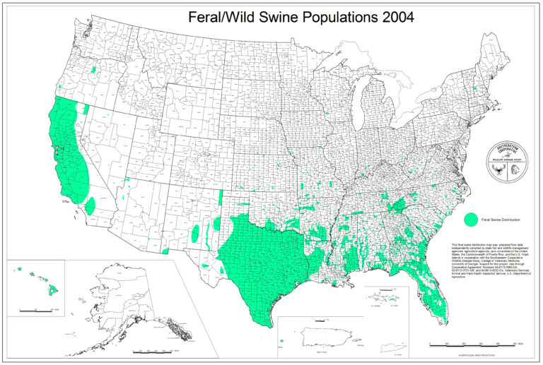 Florida Wild Hog Population Map Printable Maps | Wells Printable Map