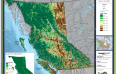 Forest Service Forest Service Road Maps