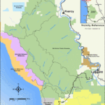 Giant Redwoods California Map Printable Maps