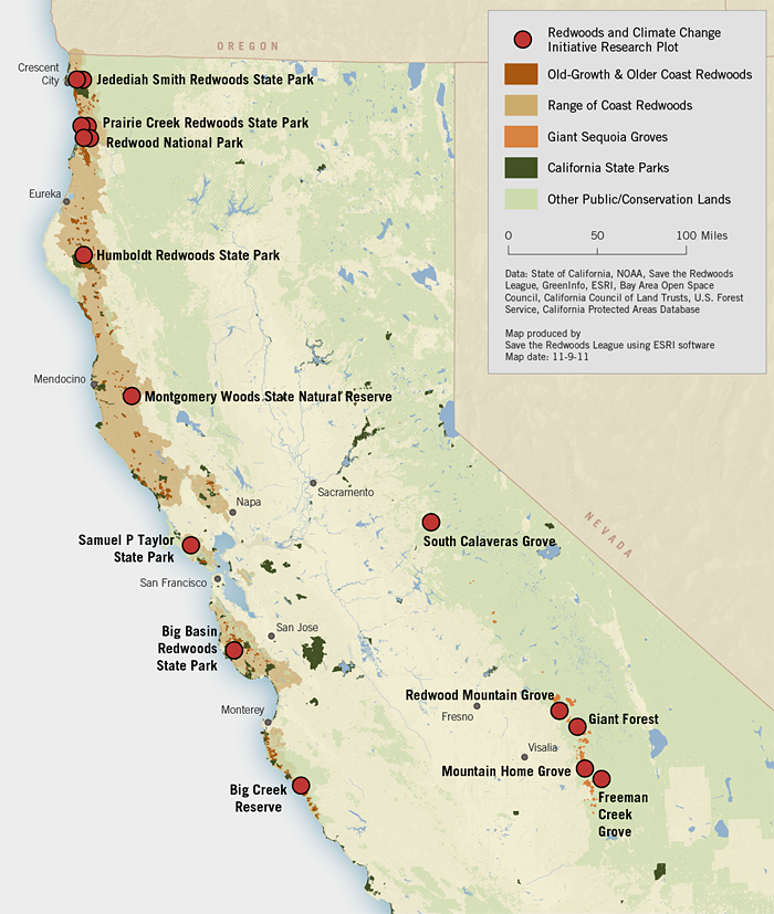 Giant Redwoods California Map