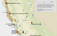 Giant Redwoods California Redwoods Map
