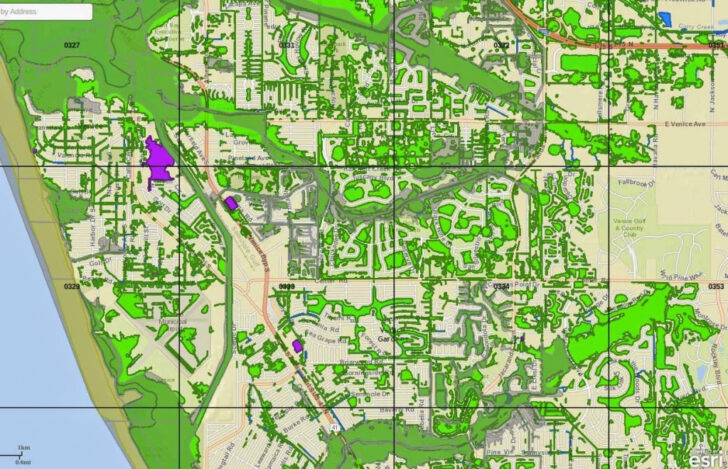 Ing Zonesorlando Flood Map