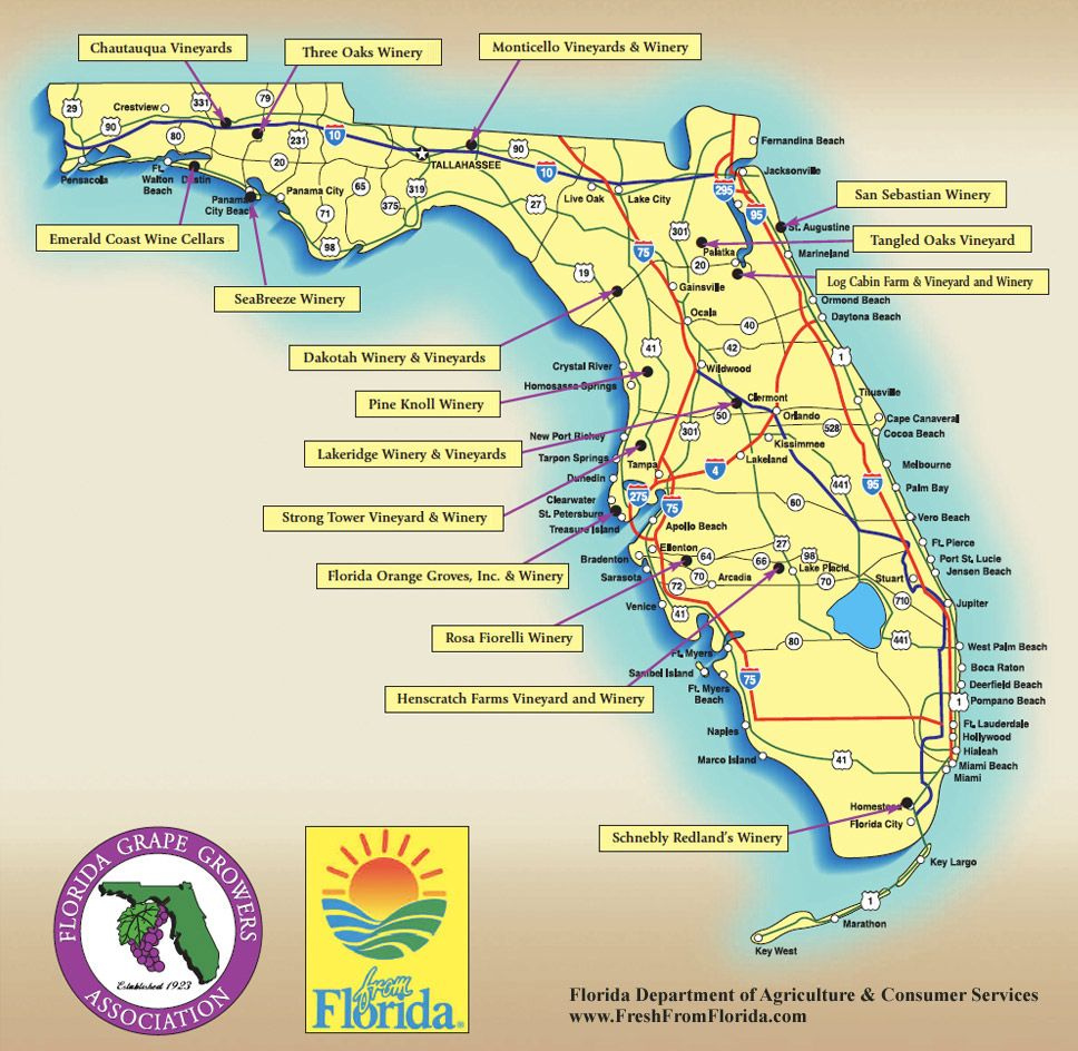 Google Maps Naples Florida Maps
