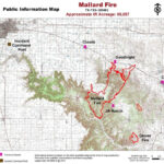 Incident Information Texas A M Forest Service On Twitter Update