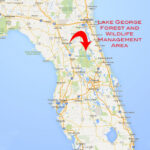 Lake George Florida Map Printable Maps