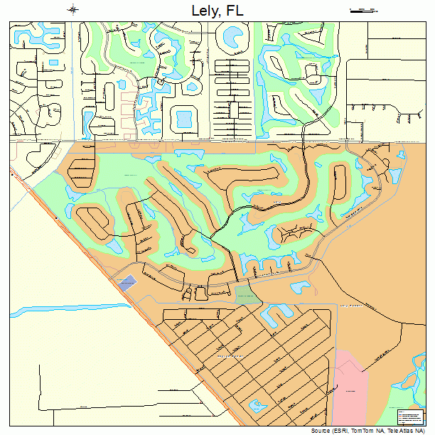 Lely Florida Street Map 1239987