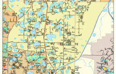 Lutz Florida Street Map 1241775