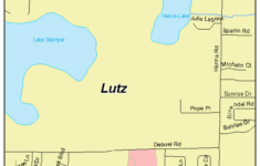Lutz Florida Street Map 1241775