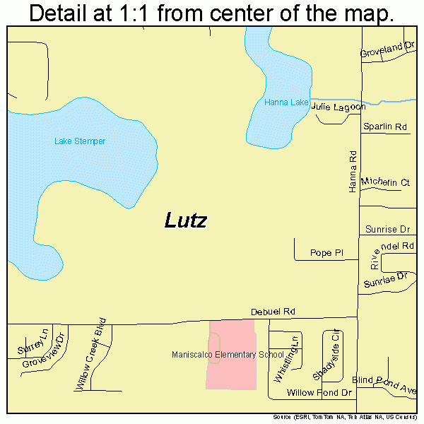 Lutz Florida Street Map 1241775