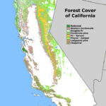 Map Of California Forests Twitterleesclub California Forest Service