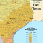 Map Of East Texas With Cities Printable Maps