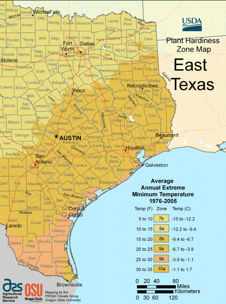 Calendar Of Events January 2025 East Texas Area 