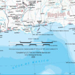 Map Of Florida Gulf Side Printable Maps