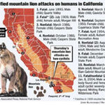 Map Of Verified Mountain Lion Attacks On Humans In California As Of