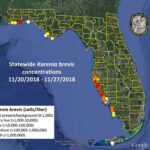 MIDWEEK RED TIDE REPORT Patchy Bloom Gets Patchier But Some Areas