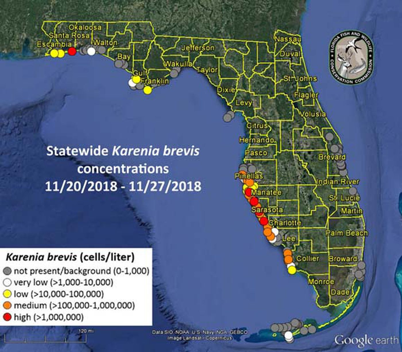 MIDWEEK RED TIDE REPORT Patchy Bloom Gets Patchier But Some Areas 