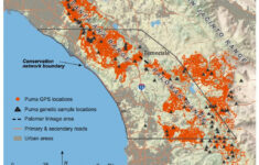 Mlf Feature Fractured Genetics Mountain Lions In California Map