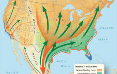 Monarch Butterfly Migration Map California Printable Maps