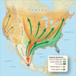 Monarch Butterfly Migration Map California Printable Maps