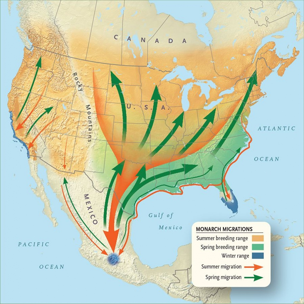 Monarch Butterfly Migration Map California Printable Maps