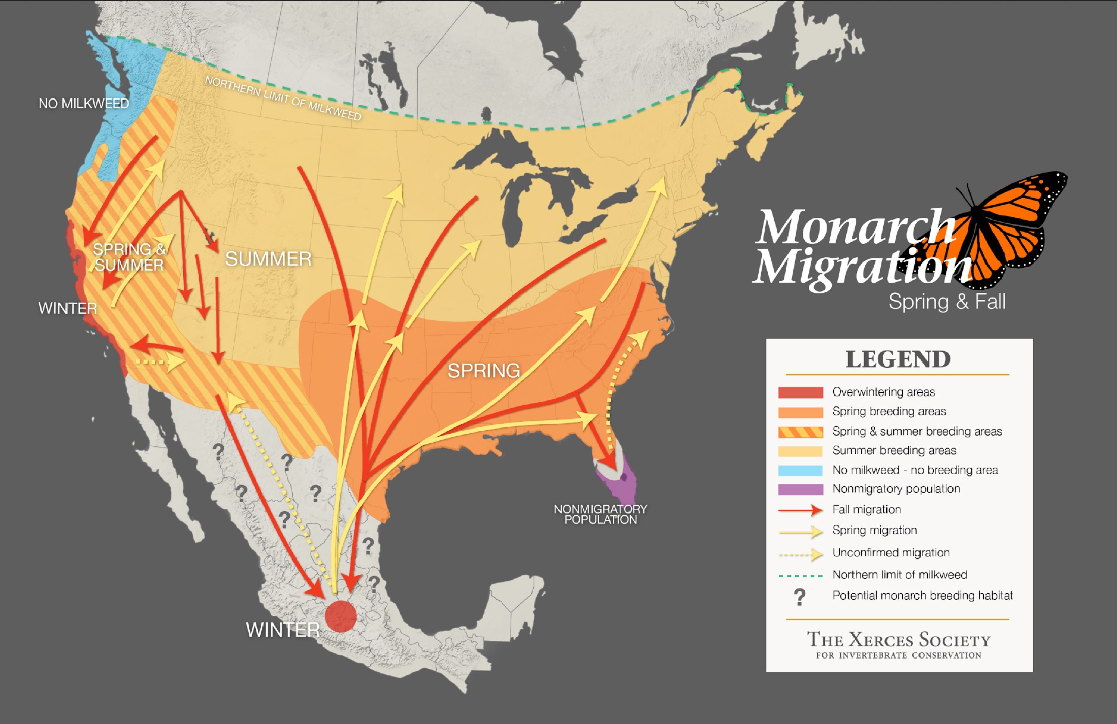 Monarch Butterfly Migration map xerxes Tallahassee Community Blogs