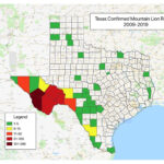 Mountain Lion Population In Each U S State Wildlife Informer