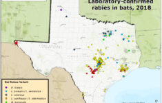 Mountain Lions In Texas Map Printable Maps