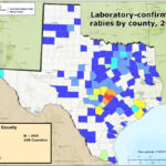 Mountain Lions In Texas Map Printable Maps