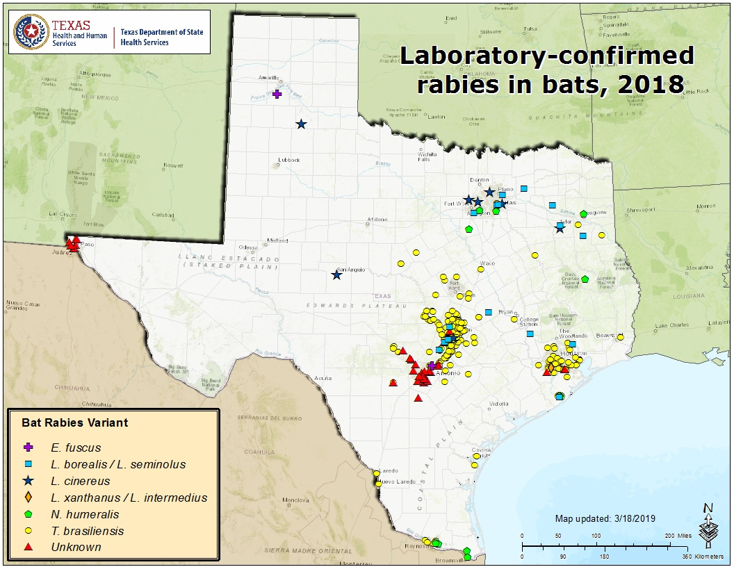 Mountain Lions In Texas Map Printable Maps
