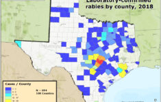 Mountain Lions In Texas Map Printable Maps