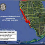 New Map Shows Red Tide Problems Worsening Along Florida S Coast Wtsp