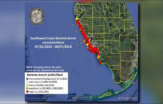 New Map Shows Red Tide Problems Worsening Along Florida s Coast Wtsp
