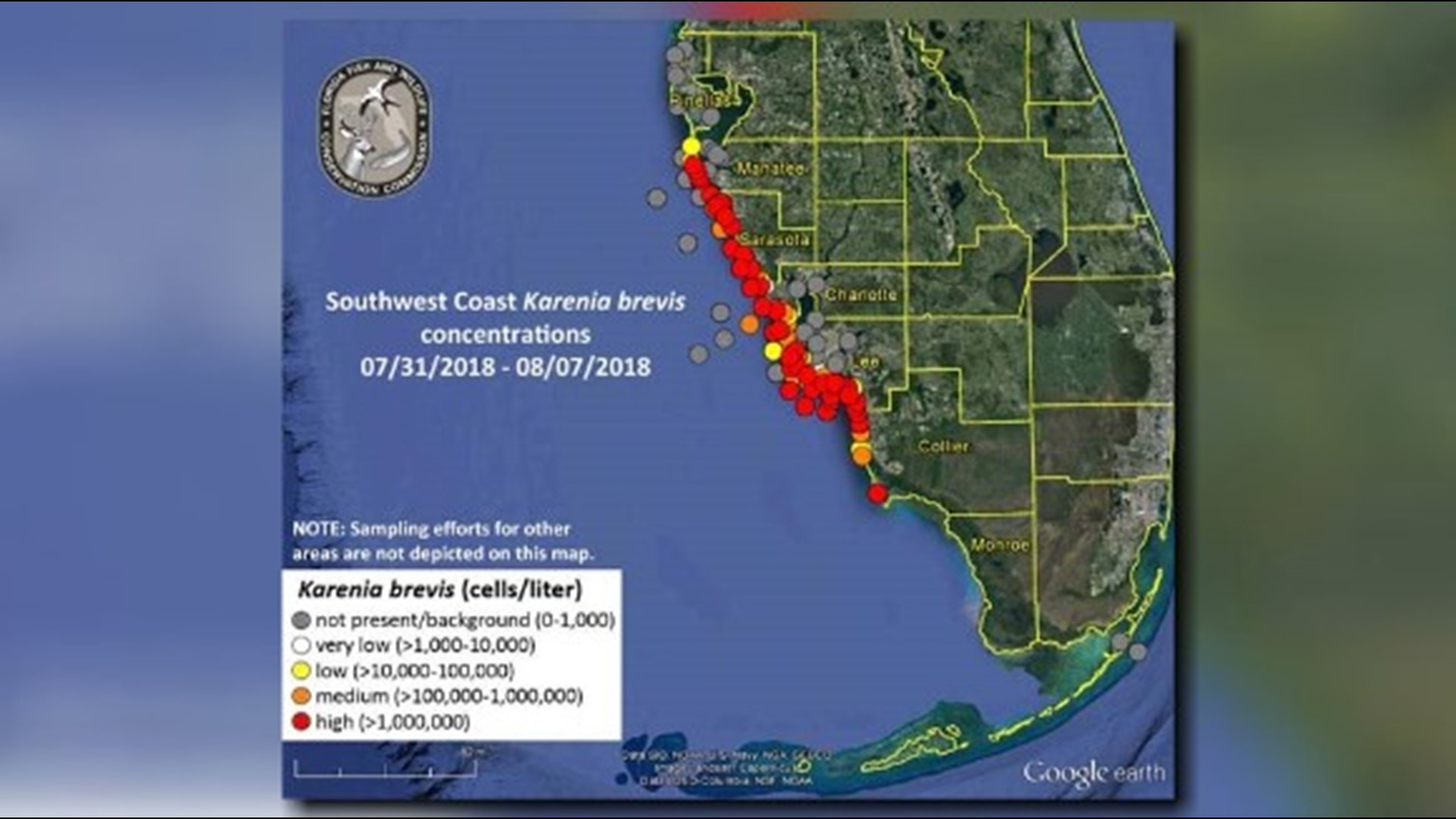 New Map Shows Red Tide Problems Worsening Along Florida s Coast Wtsp