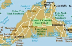 Pin On Martha s Vineyard