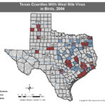 Rabies Maps For 2018 Mountain Lions In Texas Map Printable Maps