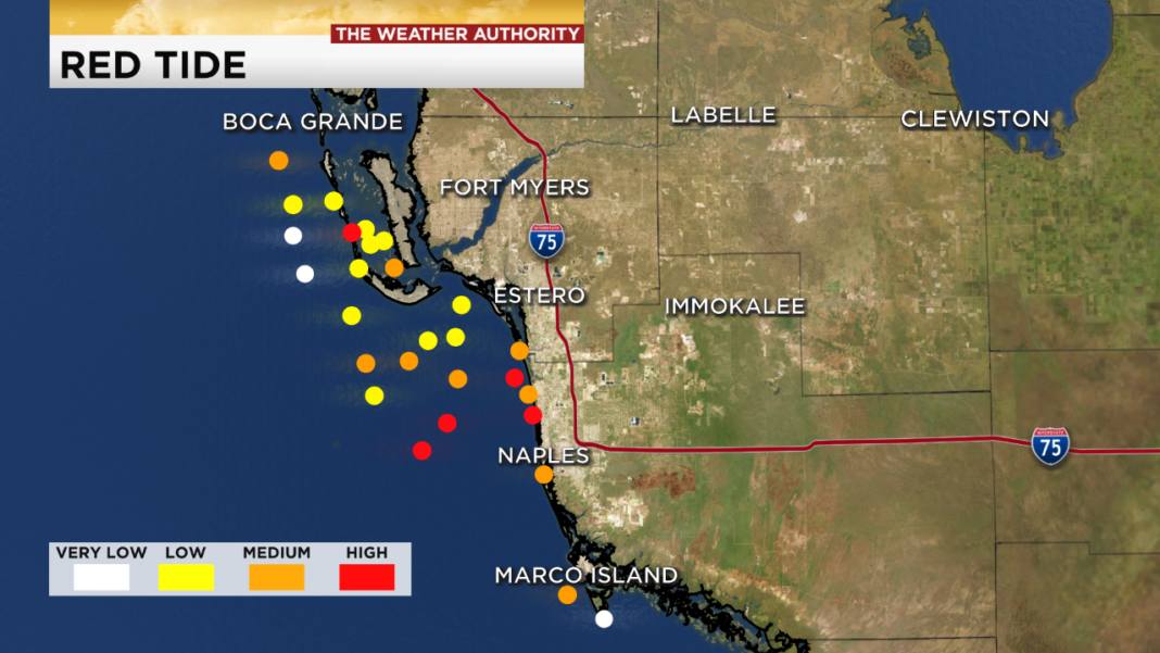 Red Tide Impacts Increasing In Southwest Florida