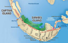 Sanibel Island FL The World s Best Shelling Beaches Captiva Island