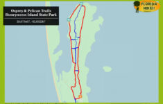 Sarasota Florida Map Stock Image Image Of Sarasota 128973471