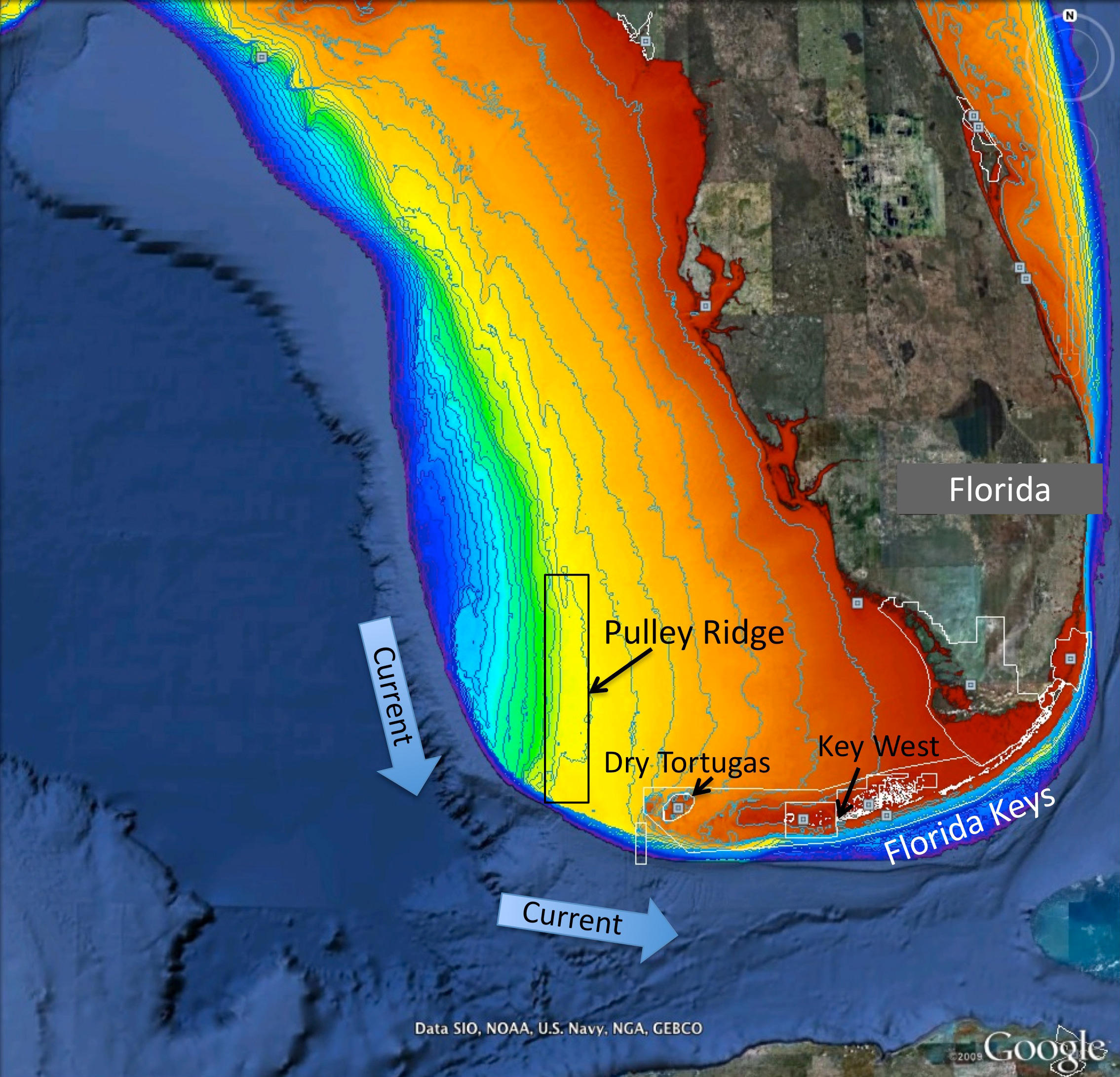 Scientists Explore Remote Healthy Reef In Gulf Similar To Florida Keys 