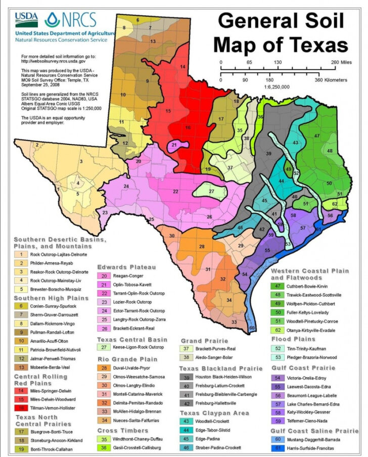 Texas Soil Moisture Map