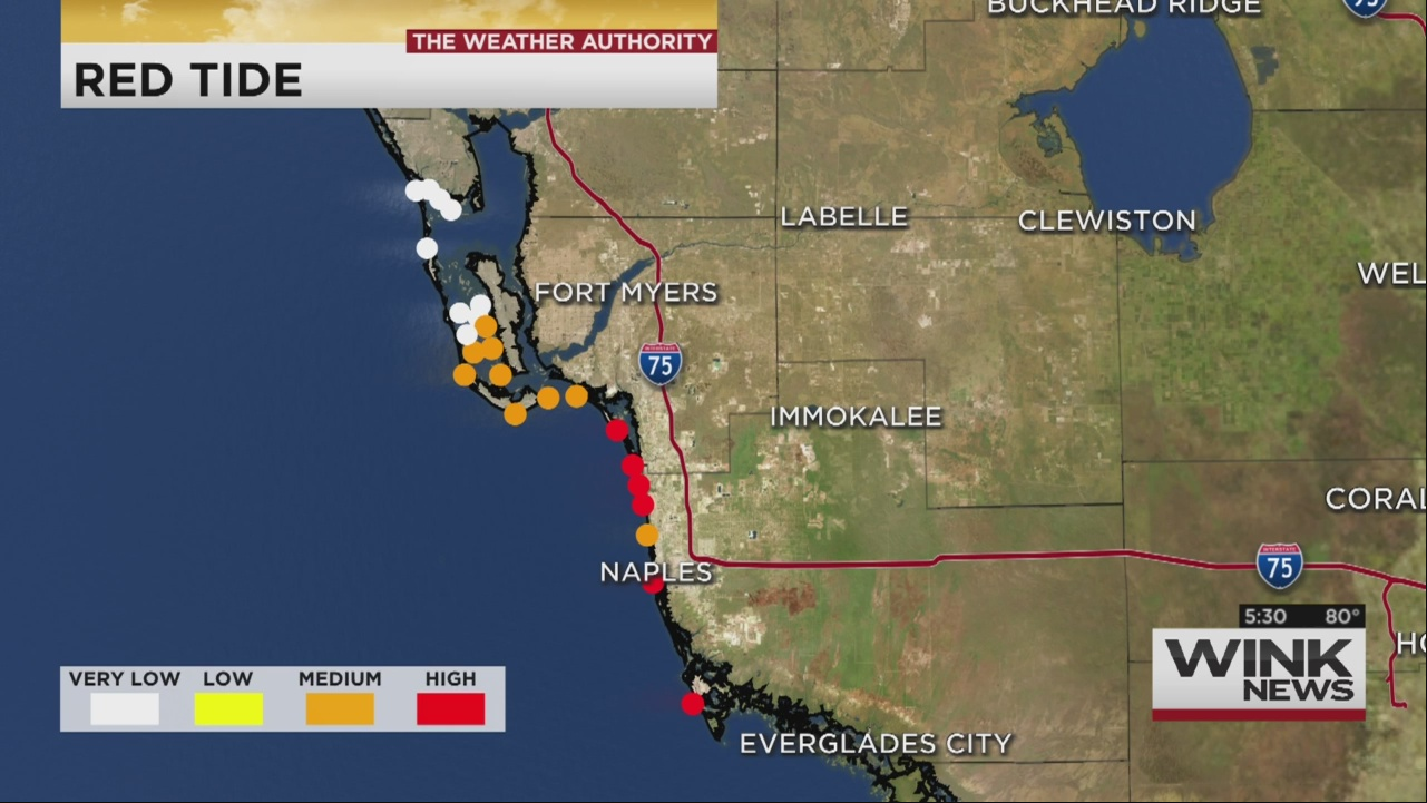 Studying How Highest Levels Of Red Tide Affect People Along SWFL Coast