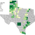 Texas Crop Weather For June 18 2013 Agrilife Today Texas Wheat