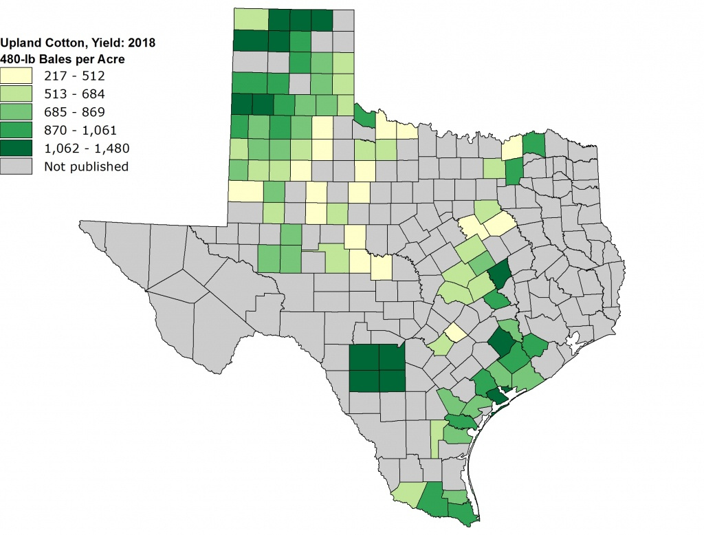 Texas Crop Weather For June 18 2013 Agrilife Today Texas Wheat 