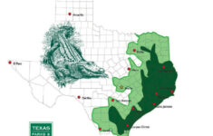 Texas Cryptid Hunter An Arlington Alligator