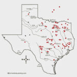 Texas Department Of State Health Services Infectious Disease