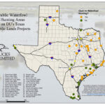Texas Hunt Zone South Texas General Whitetail Deer Texas Hunting Map