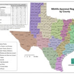 Texas Parks And Wildlife Public Hunting Lands Map Booklet Printable Maps