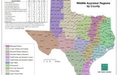 Texas Parks And Wildlife Public Hunting Lands Map Booklet Printable Maps