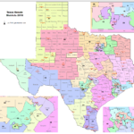 Texas Senate District 19 Map