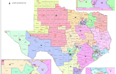 Texas Senate District 19 Map